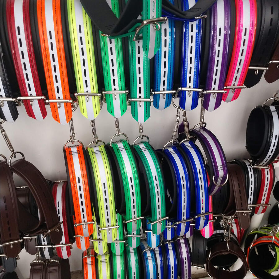 A rainbow of collars